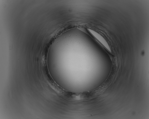 X0000089450564200707061244