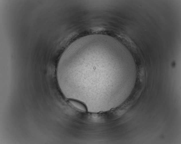 X0000089450565200707061245