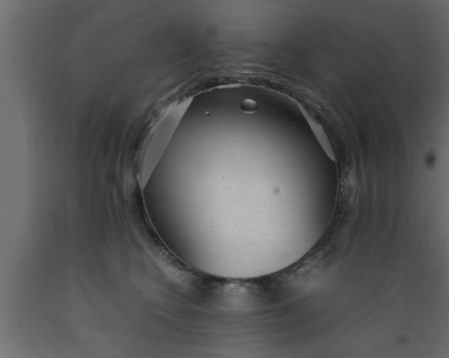 X0000089450566200707061245