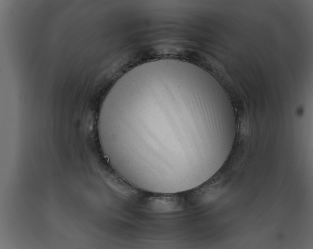 X0000089450567200707061245