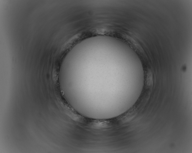 X0000089450569200707061245