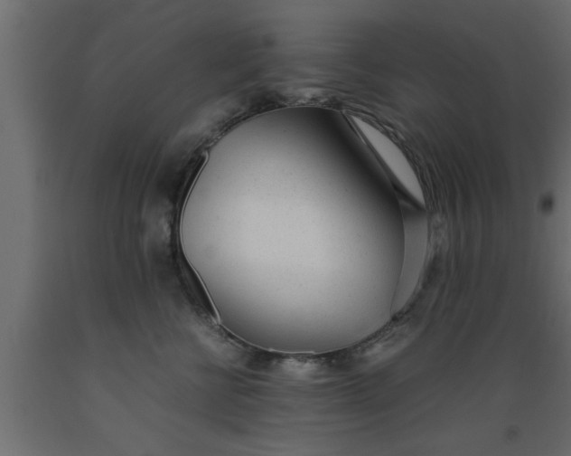 X0000089450570200707061245