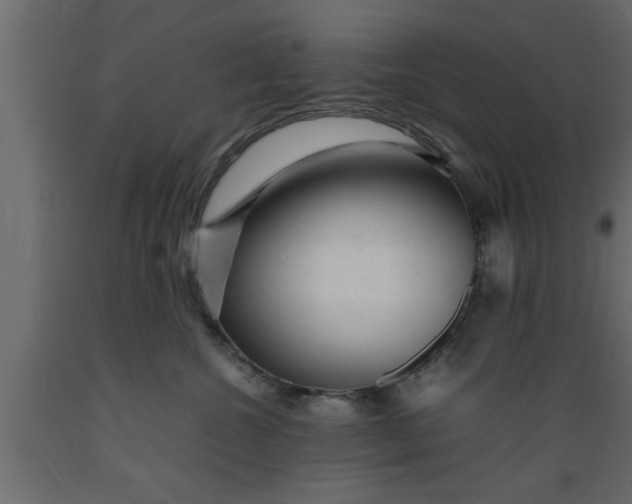 X0000089450572200707061245