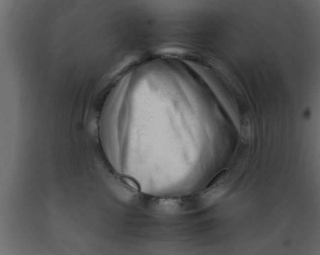 X0000089450573200707061245