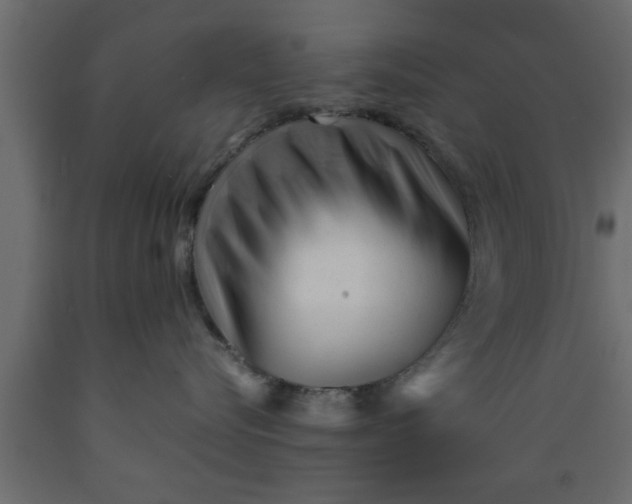 X0000089450576200707061245