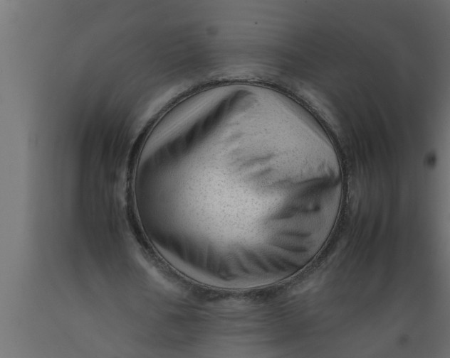 X0000089450578200707061244