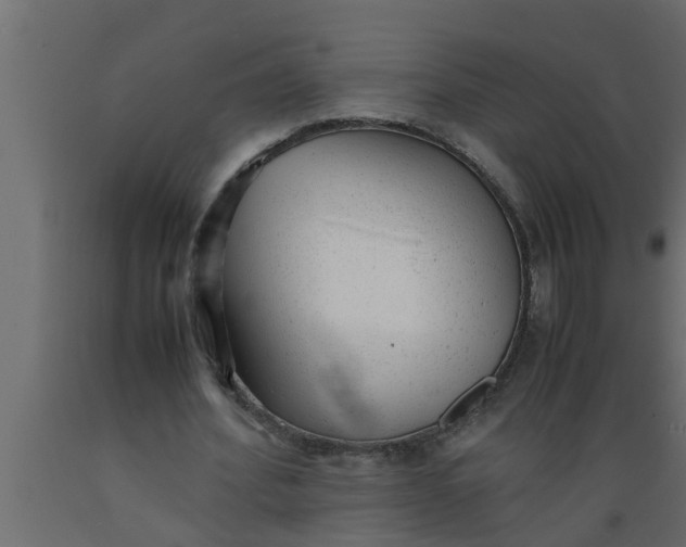 X0000089450580200707061244