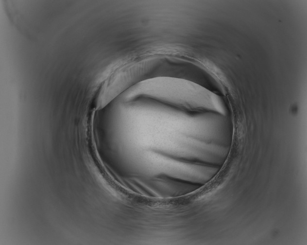 X0000089450581200707061244