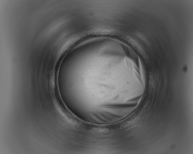 X0000089450582200707061244