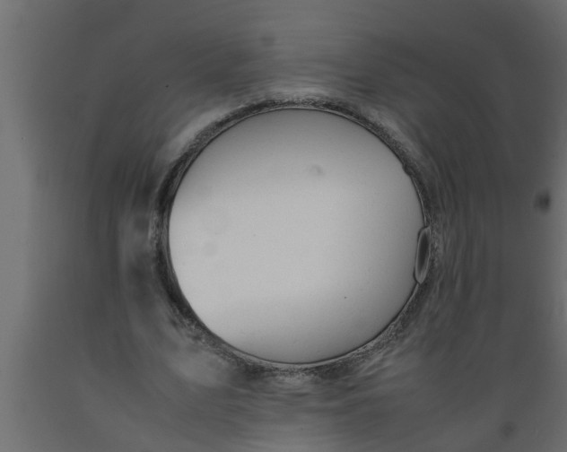 X0000089450583200707061244