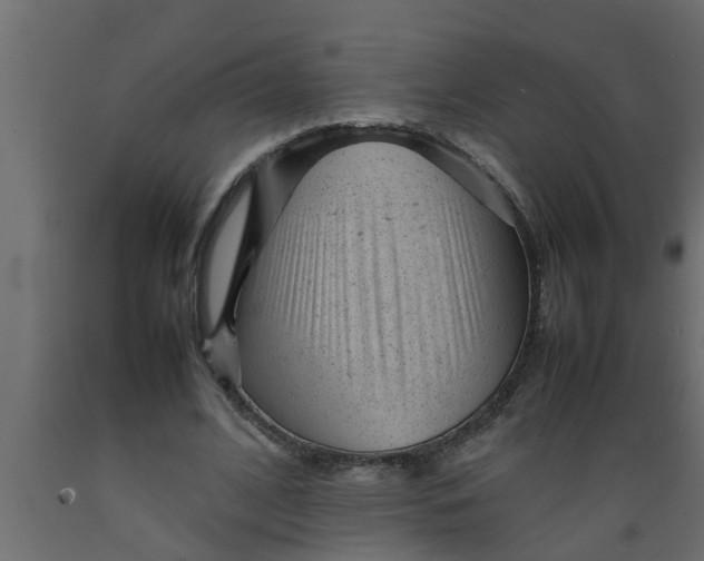 X0000089450584200707061244