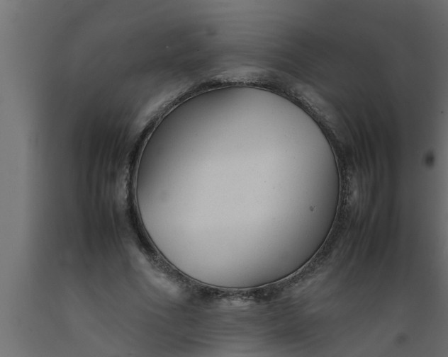 X0000089450586200707061244