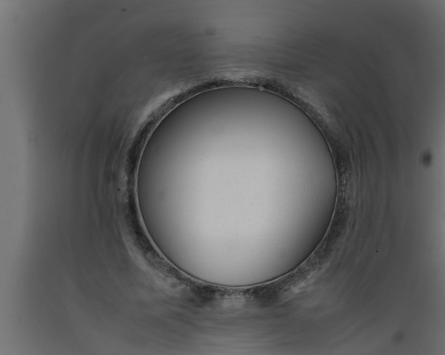 X0000089450587200707061244