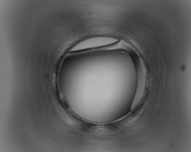 X0000089450589200707061244