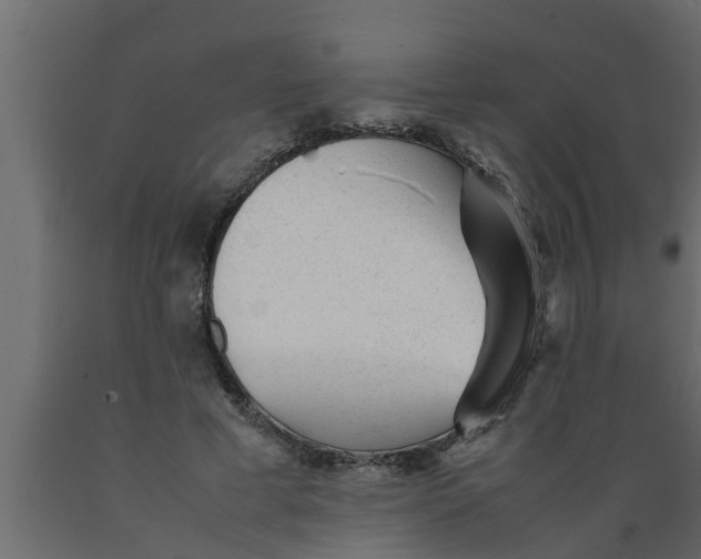 X0000089450593200707061244