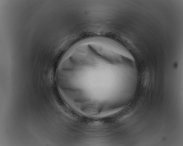 X0000089450594200707061244