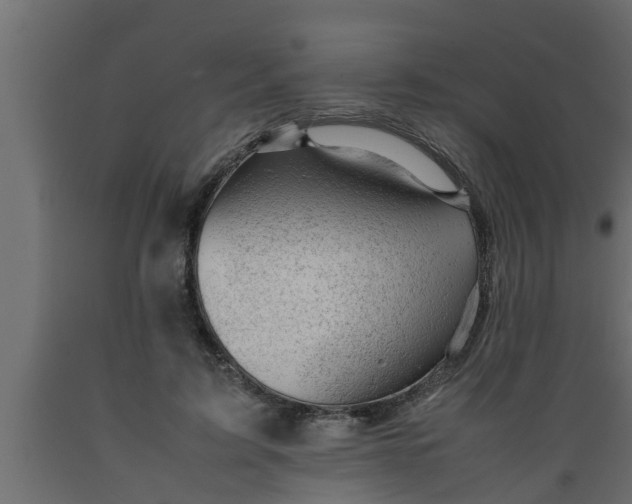 X0000089450595200707061244