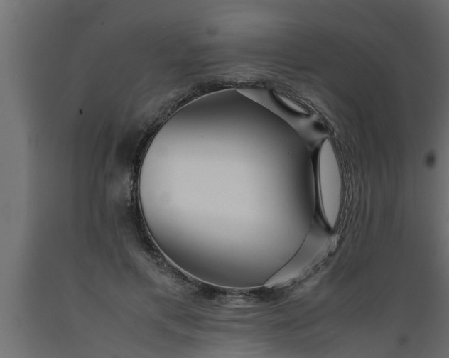 X0000089450597200707061244