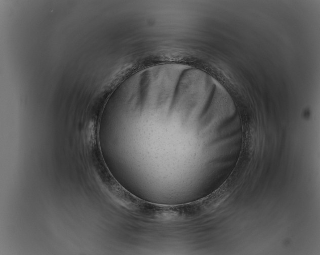 X0000089450598200707061244