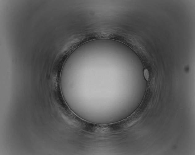 X0000089450599200707061244