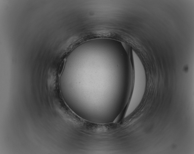 X0000089450600200707061244