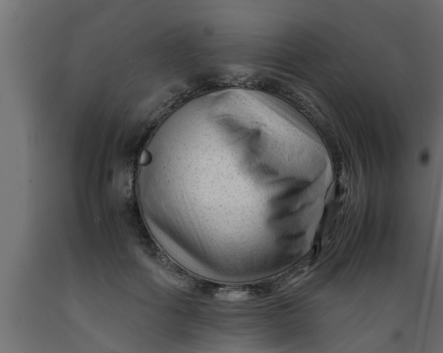 X0000089450602200707061244