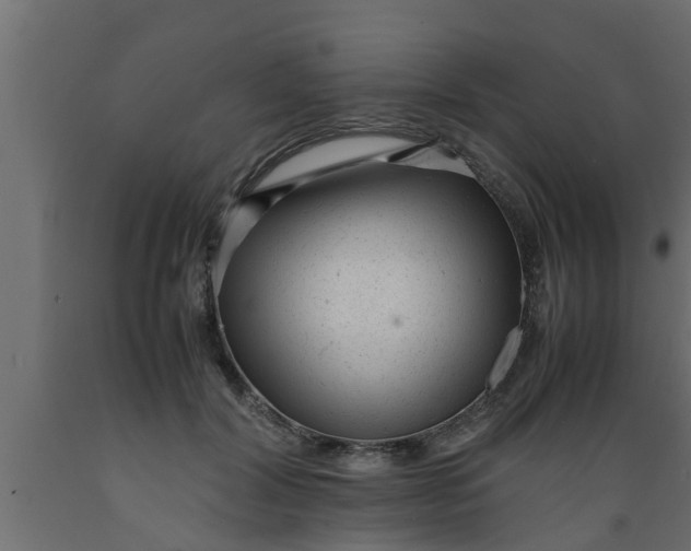 X0000089450604200707061244