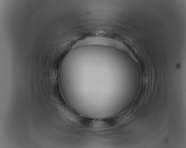 X0000089450605200707061244