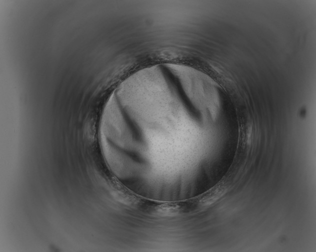 X0000089450606200707061244