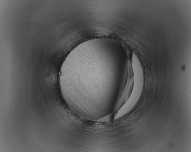 X0000089450608200707061244