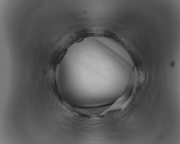 X0000089450609200707061244