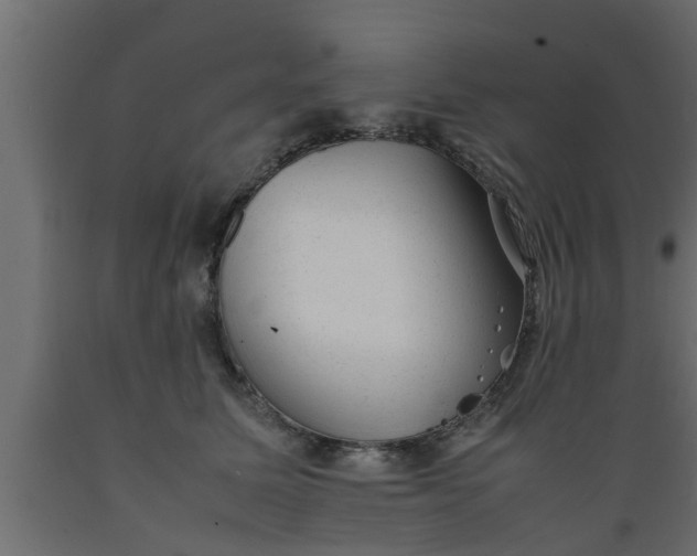 X0000089450611200707061244