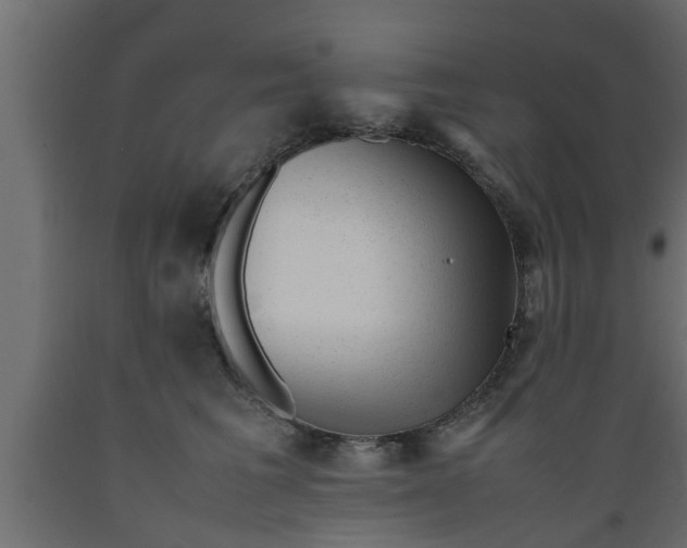 X0000089450613200707061244