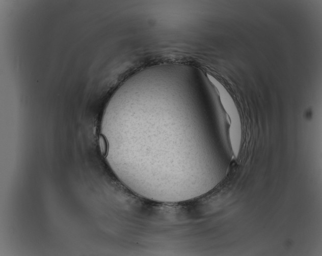 X0000089450615200707061244