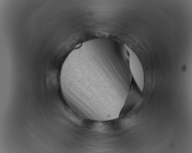 X0000089450616200707061244