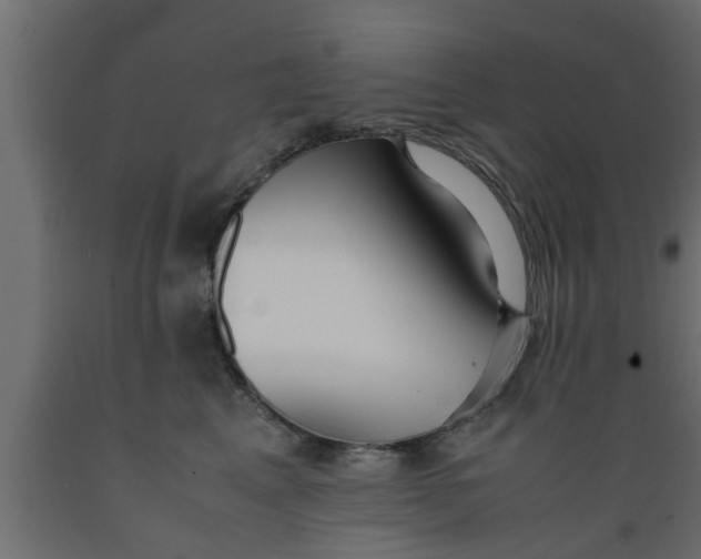 X0000089450617200707061244