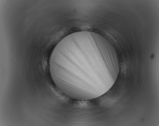 X0000089450618200707061244