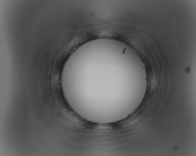 X0000089450619200707061244