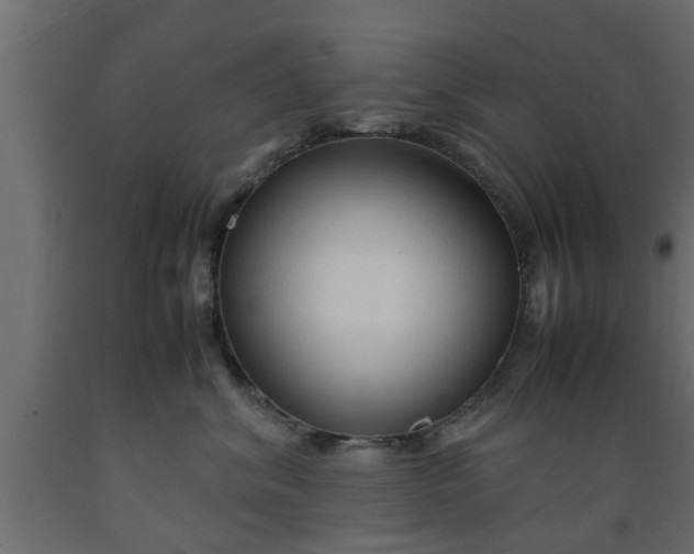 X0000089450620200707061244