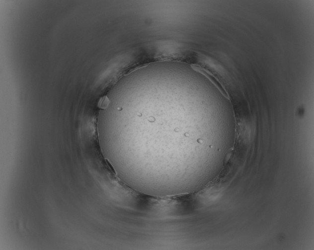 X0000089450621200707061243