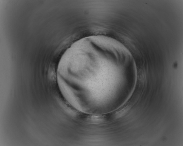 X0000089450622200707061243