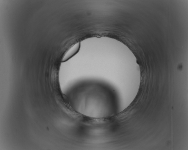 X0000089450623200707061243