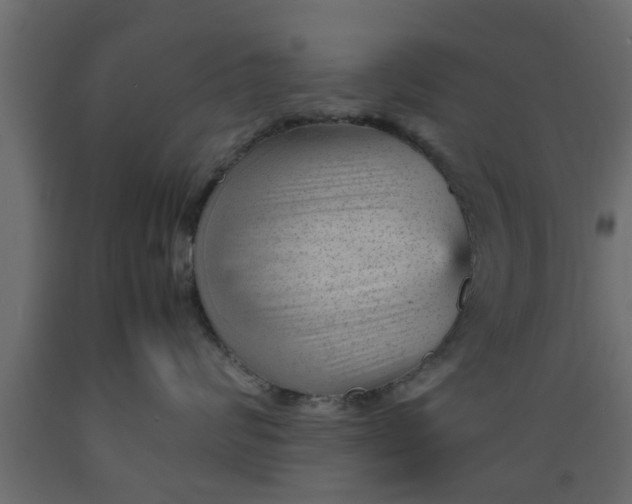 X0000089450624200707061243