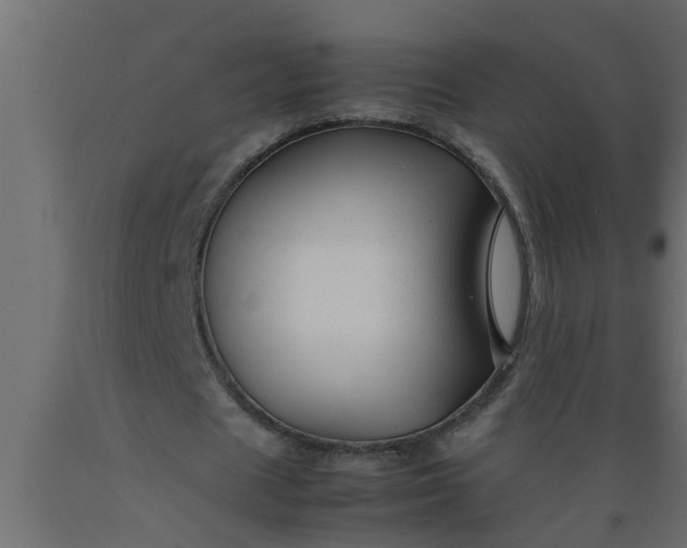 X0000089450625200707061243