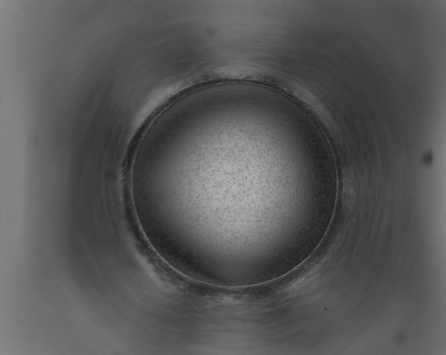 X0000089450626200707061243