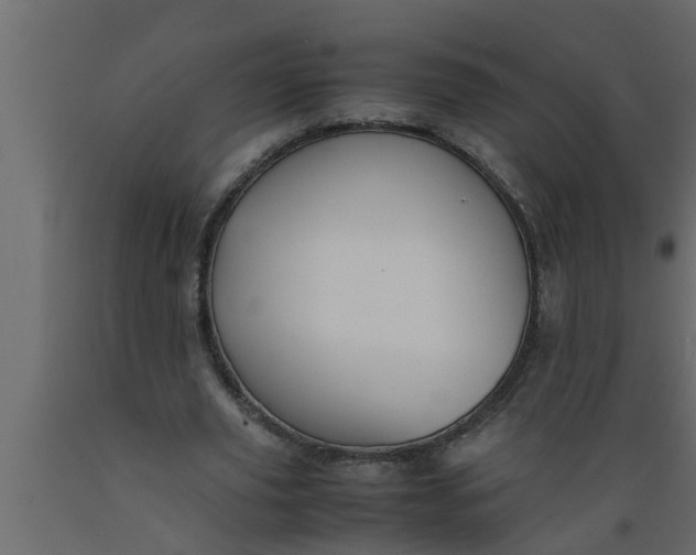 X0000089450629200707061243