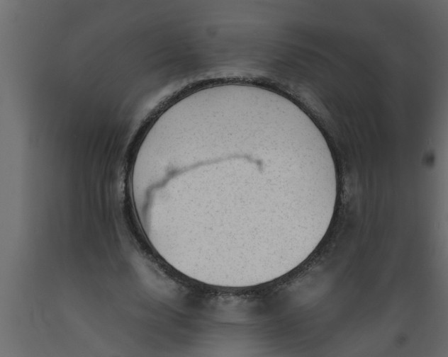 X0000089450632200707061243