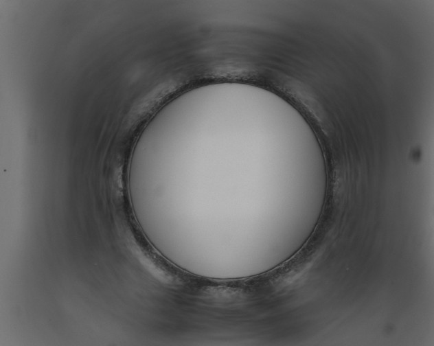 X0000089450633200707061243