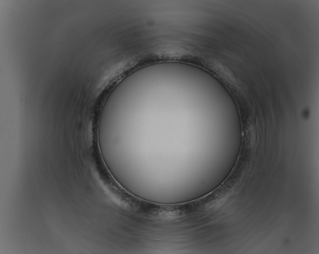 X0000089450638200707061243