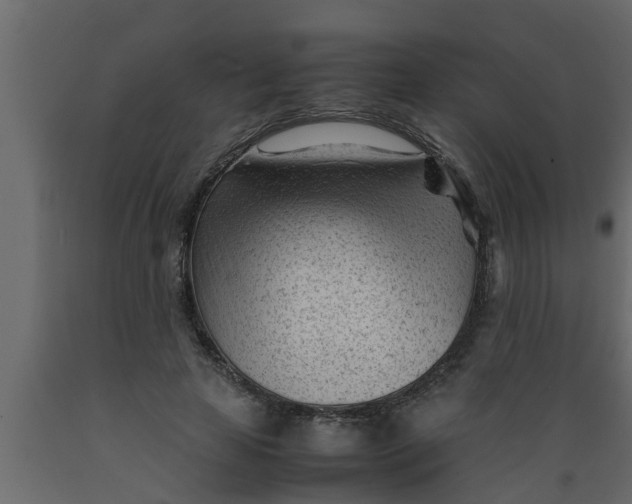 X0000089450641200707061243